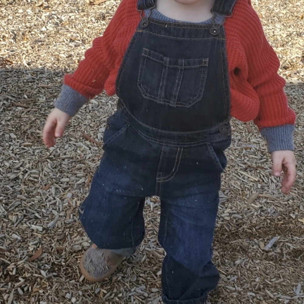 The Children's Place Blue Denim Overalls